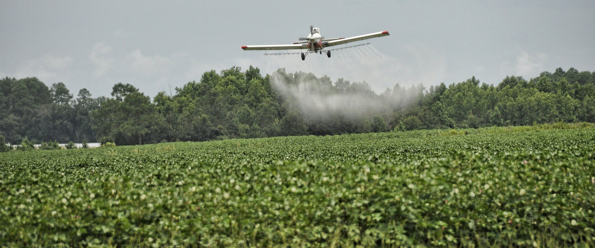 The Regulations on Pesticide Use in Canyon County, ID