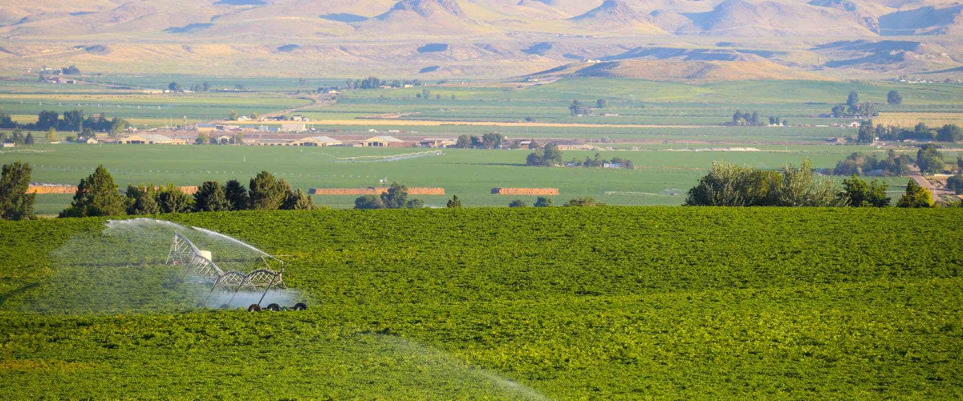The Impact of Agriculture on the Economy of Canyon County, ID