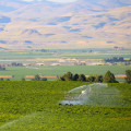 Government Programs Supporting Agriculture in Canyon County, ID