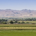 The Impact of Agriculture on the Culture and Traditions of Canyon County, ID