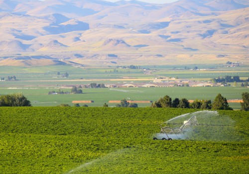 The Thriving Agriculture Industry in Canyon County, ID