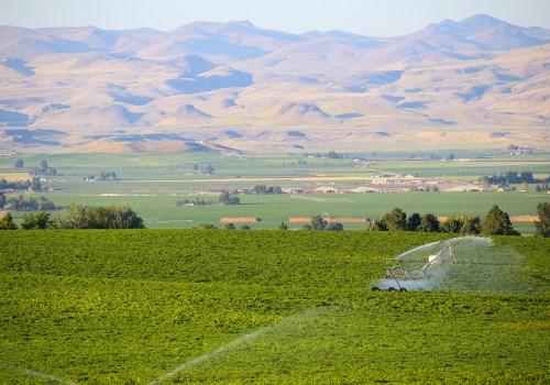 Agriculture in Canyon County, ID: A Look at the Percentage of Land Used for Farming