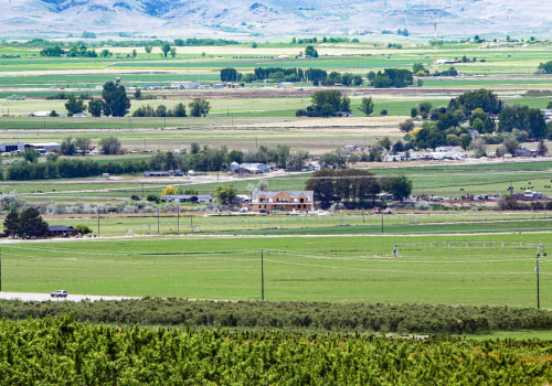 The Diverse and Thriving Agriculture in Canyon County, ID